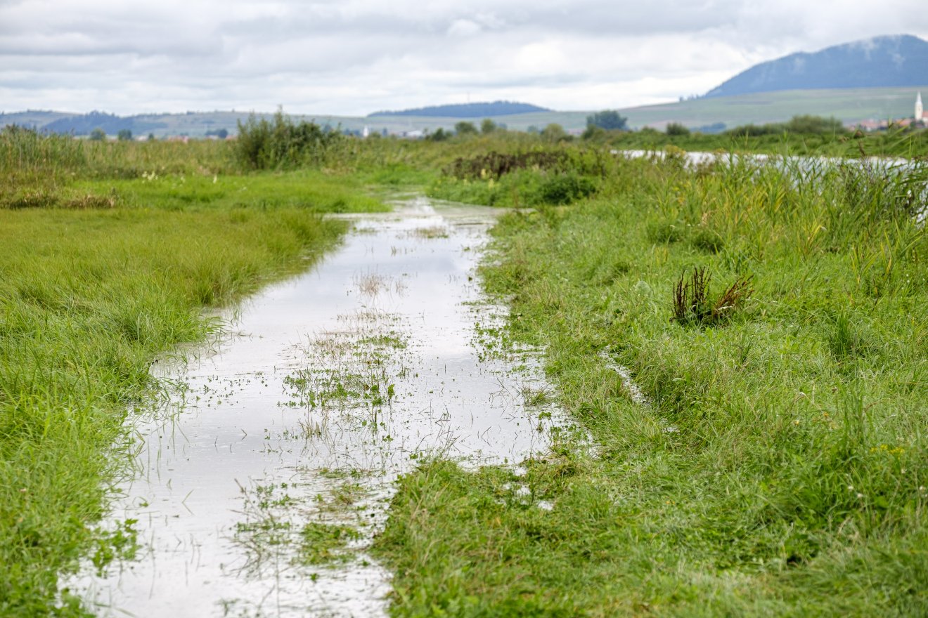 A viharriasztás mellé árvízriasztást is kiadtak, Hargita megyei folyók is érintettek