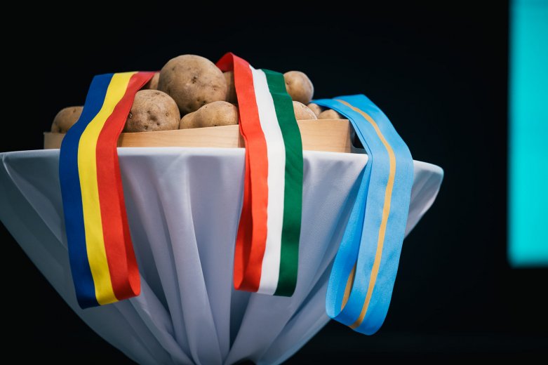 A gyergyószéki beruházásoknak köszönhetően megduplázódik az ország krumplitároló kapacitása