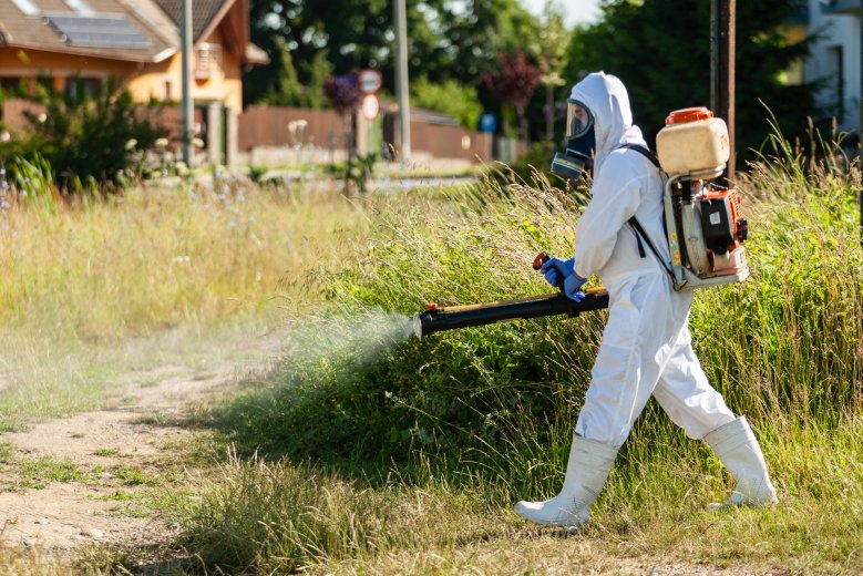 Harc a szúnyogok és kullancsok ellen: pénz és szervezés kérdése